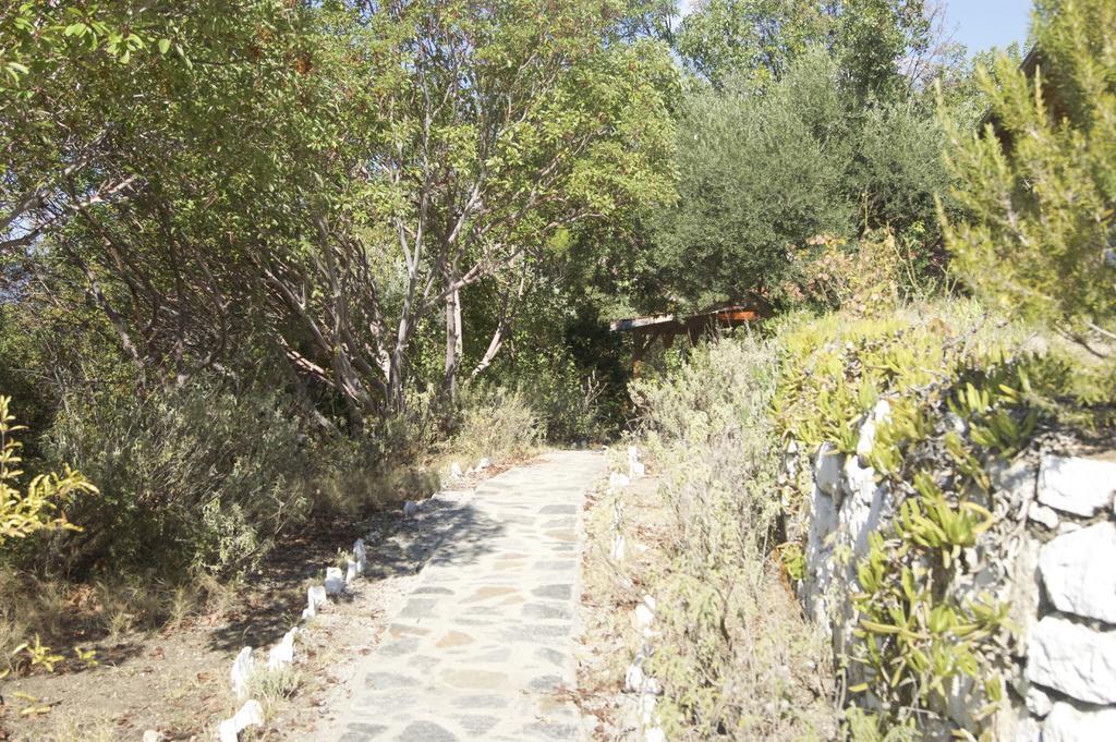 Resort Yuva Eco Holiday Yoga Retreat