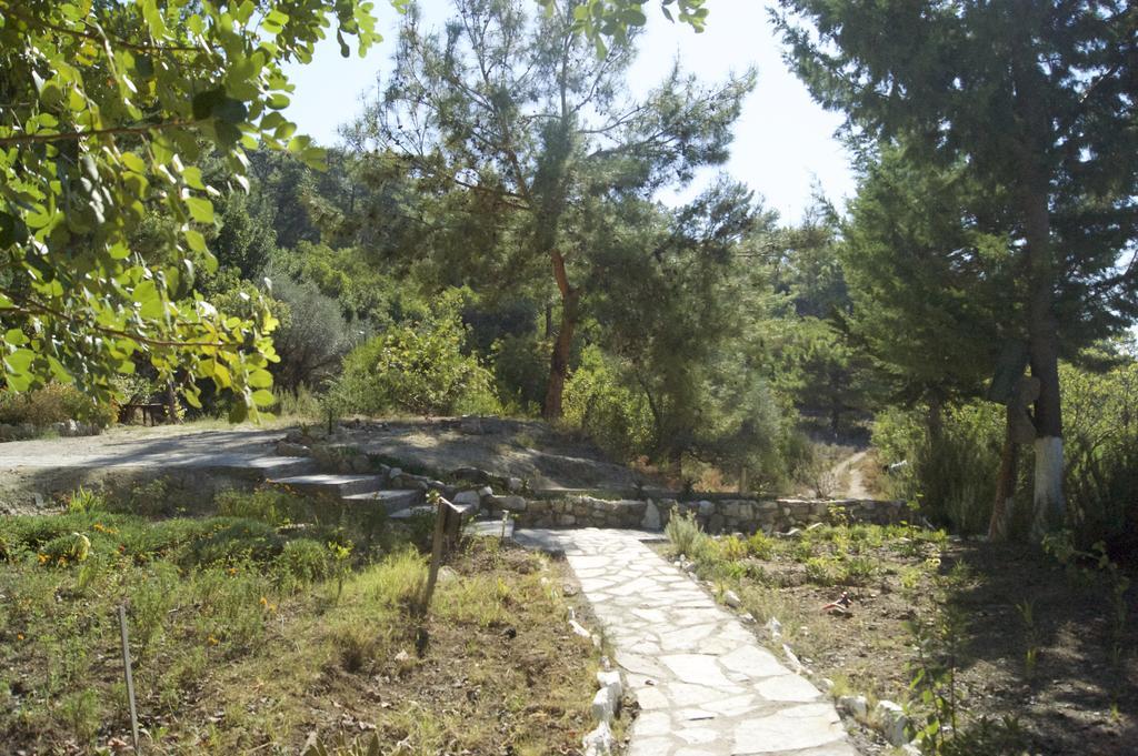 Yuva Eco Holiday Yoga Retreat Resort *