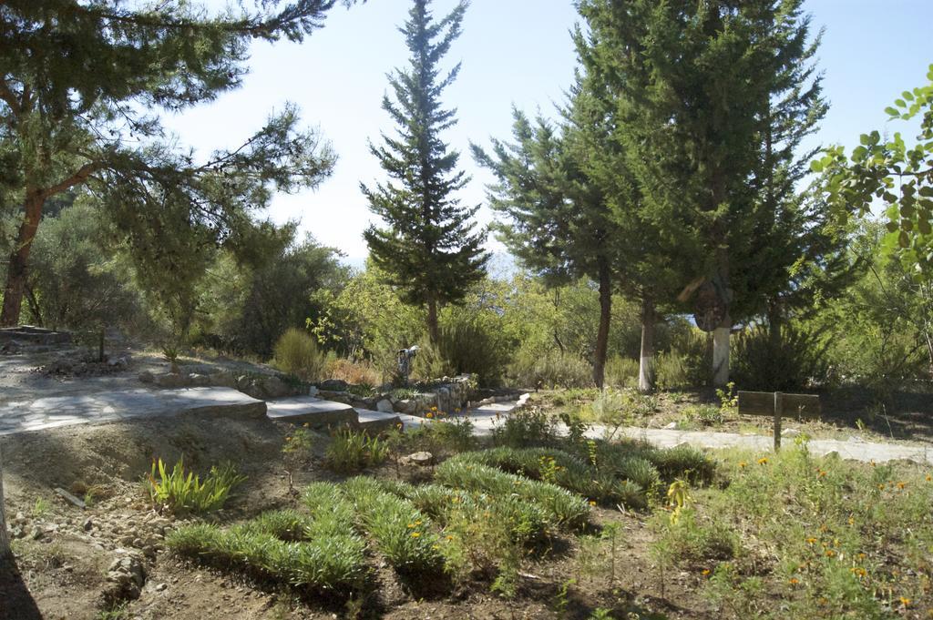 Yuva Eco Holiday Yoga Retreat * Faralya