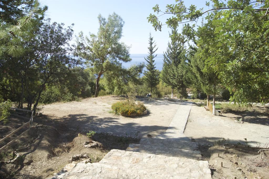 Resort Yuva Eco Holiday Yoga Retreat *