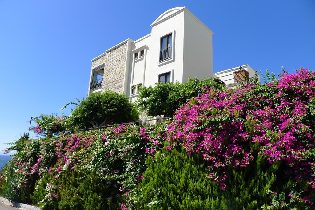 Aparthotel Platinum Beach