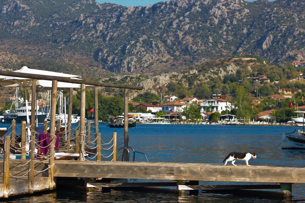 Guest house Losta Sahil Evi - Adults Only +12 *