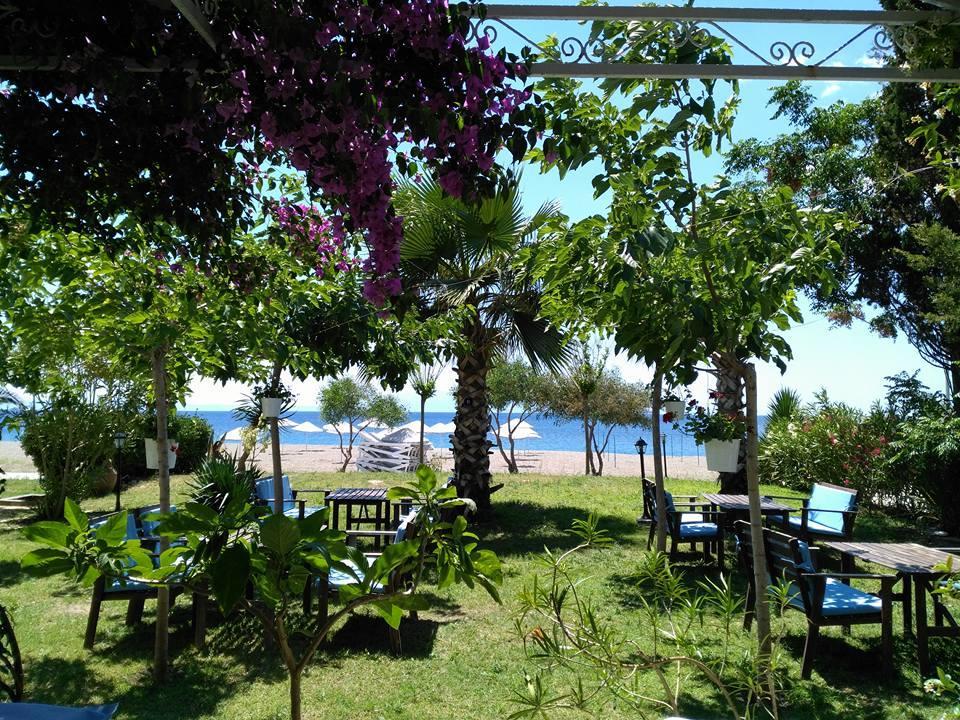 Hotel Palmiye