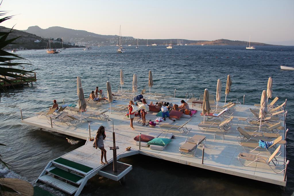 Golkoy