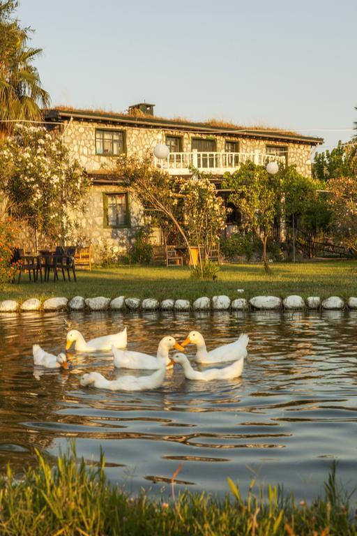 Bed & Breakfast Otantik Tas Ev Dalaman