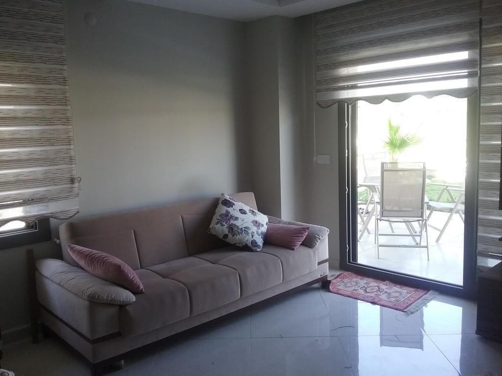 Palm23 *