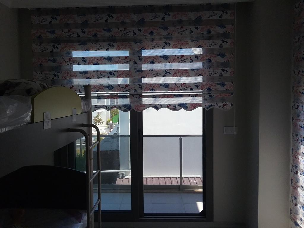 Palm23 *