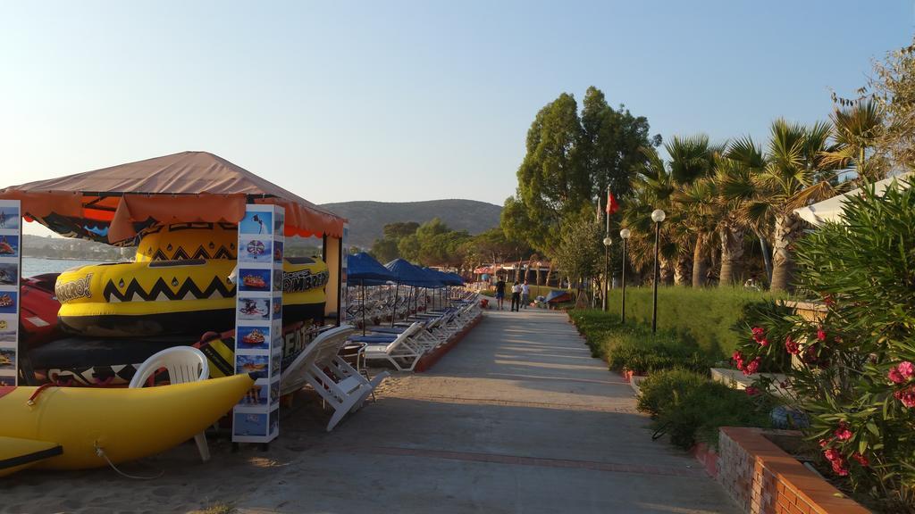 Palm23
