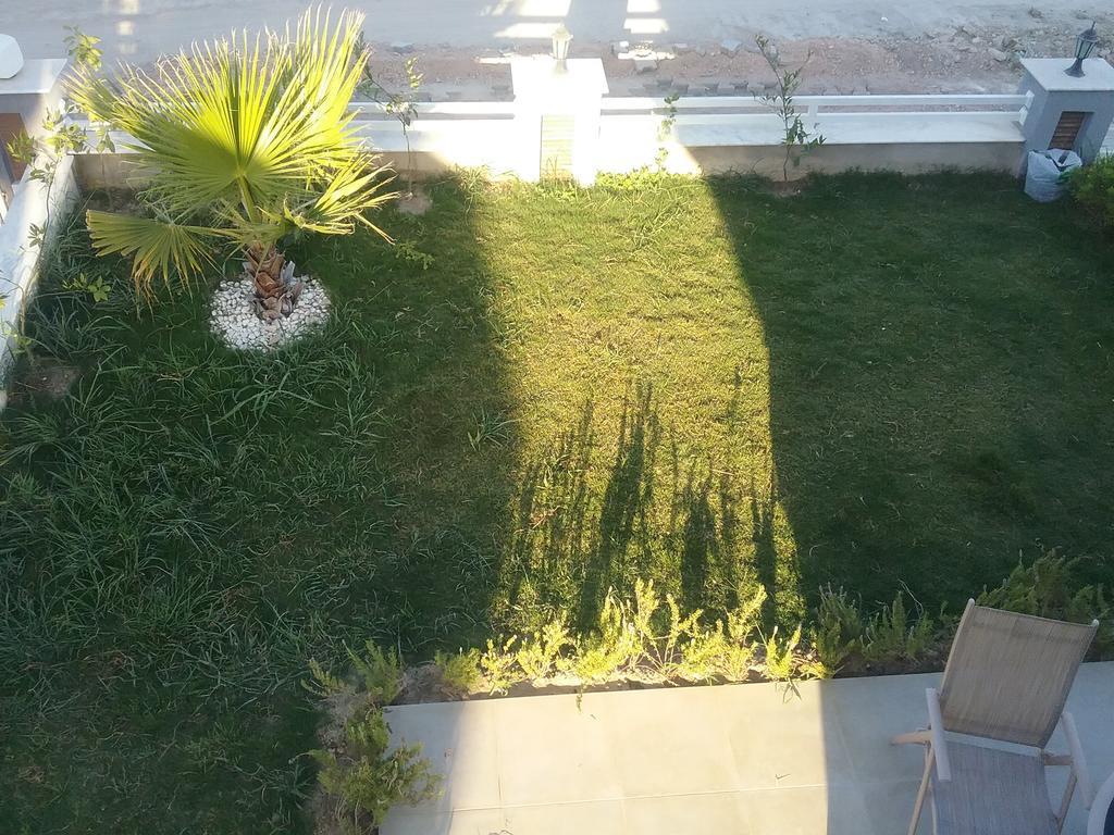 Palm23