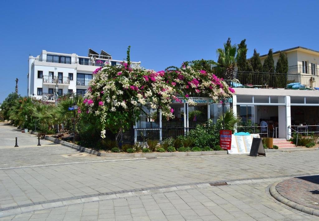 Cemre Turgutreis