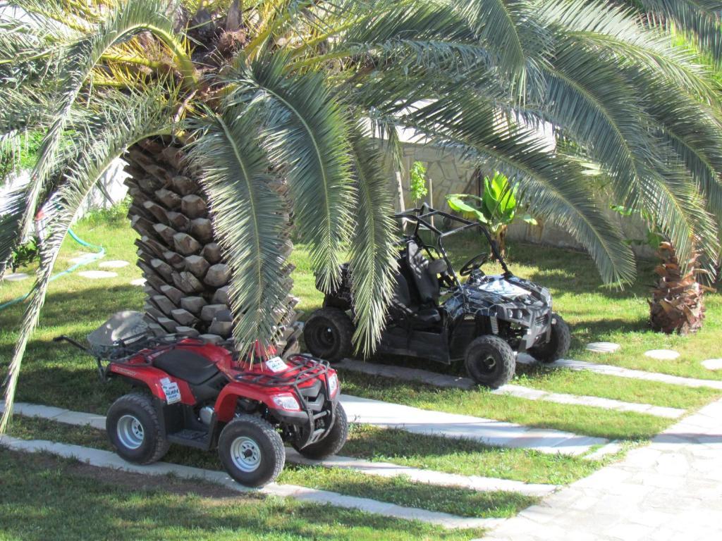 Palmiye 3* Dalyan