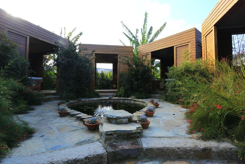 Hotel The Lifeco Bodrum Well-Being Detox Center And Vegan Hotel (Adults Only)