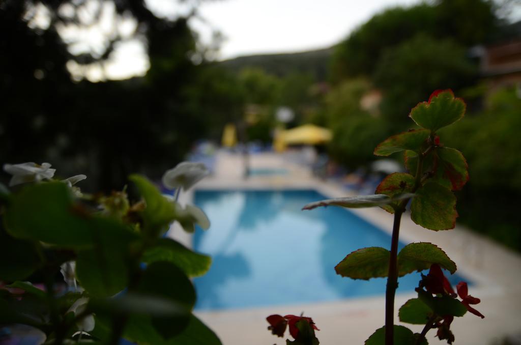 Hotel Atamer Doga 2*