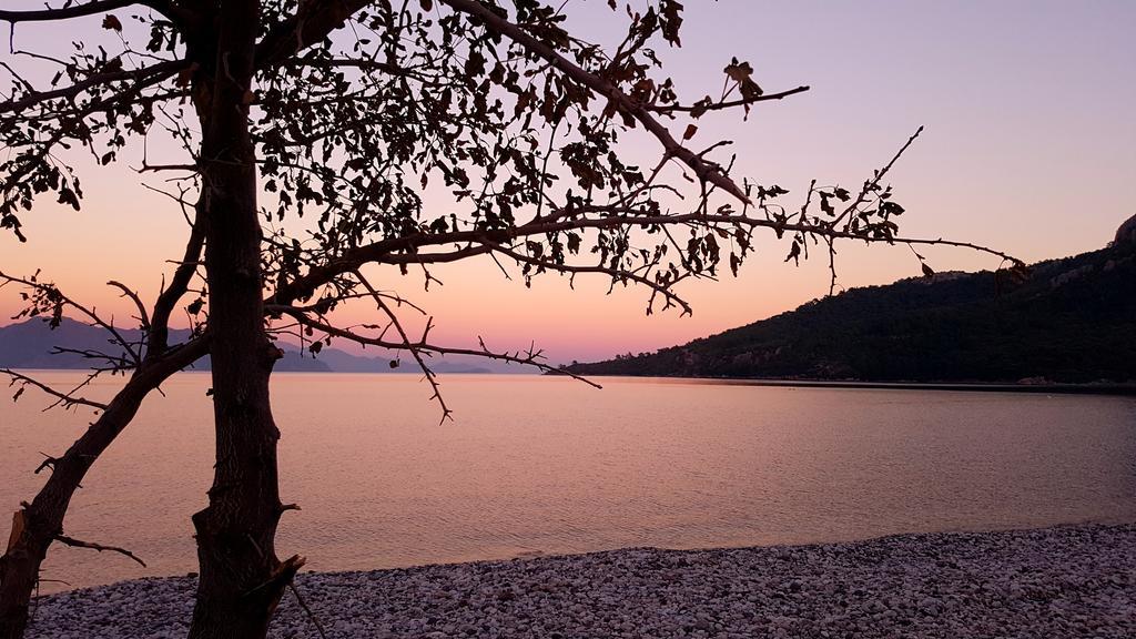Hotel Maris Butik *