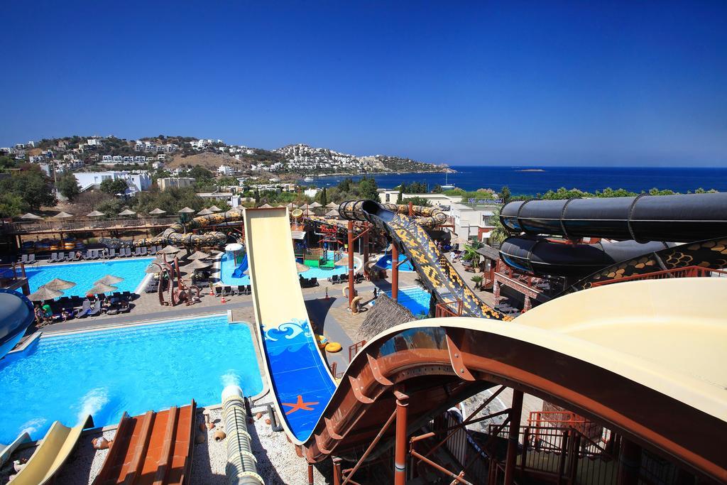 Cactus Mirage Family Club