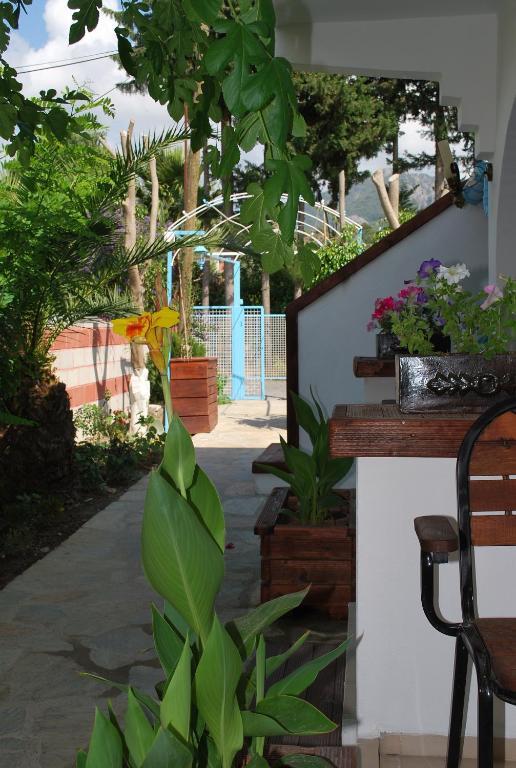 Hotel Myra 3*
