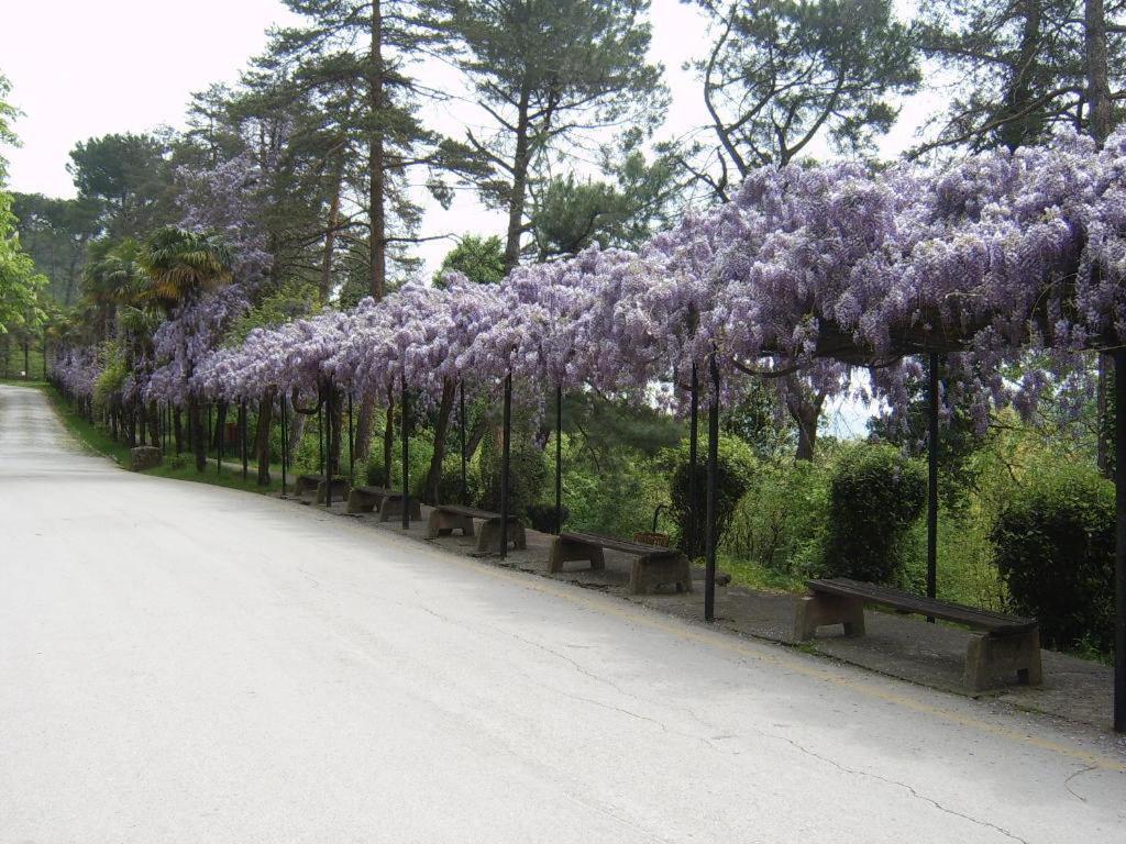 Hotel Thermal Park *