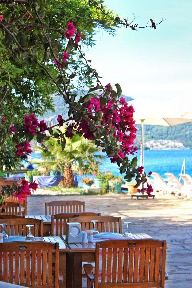 Losta Sahil Evi 2 (adults Only)