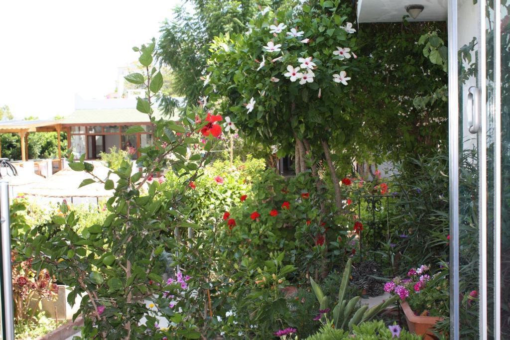 Bronze Hotel Gumbet