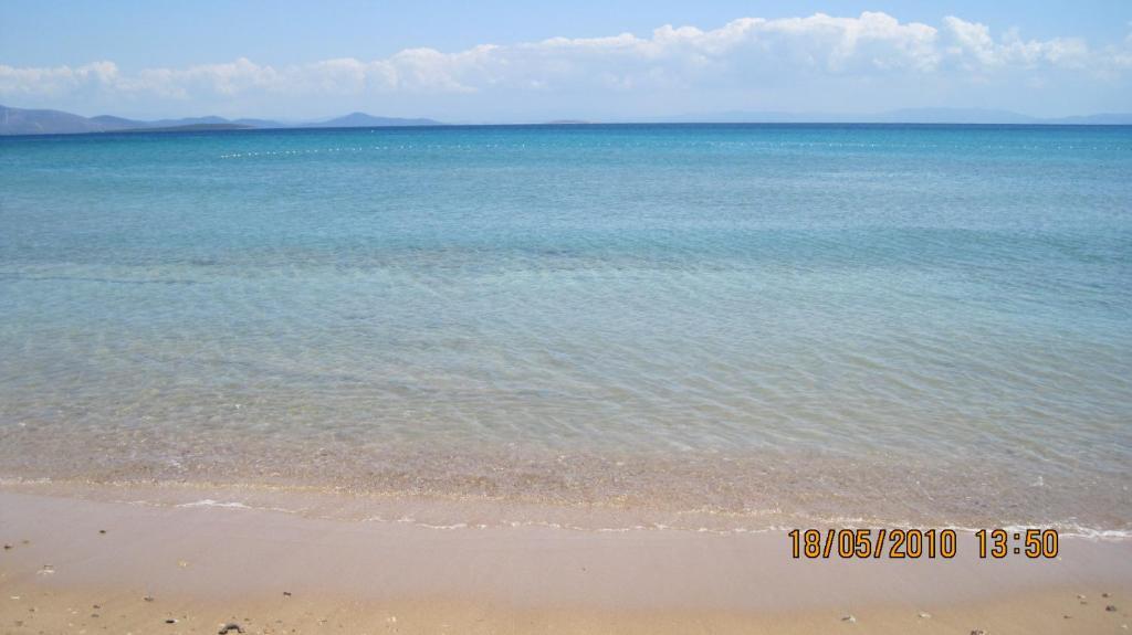 Orion Hotel Didim