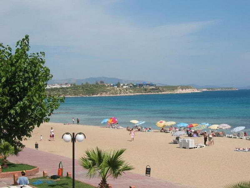 Tuntas Altinkum Didim