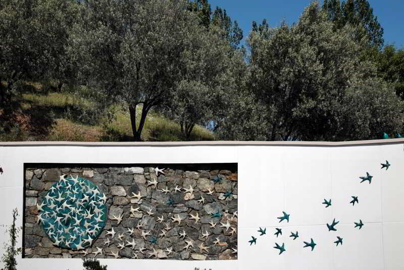 Rezone Health & Oxygen Kazdaglari