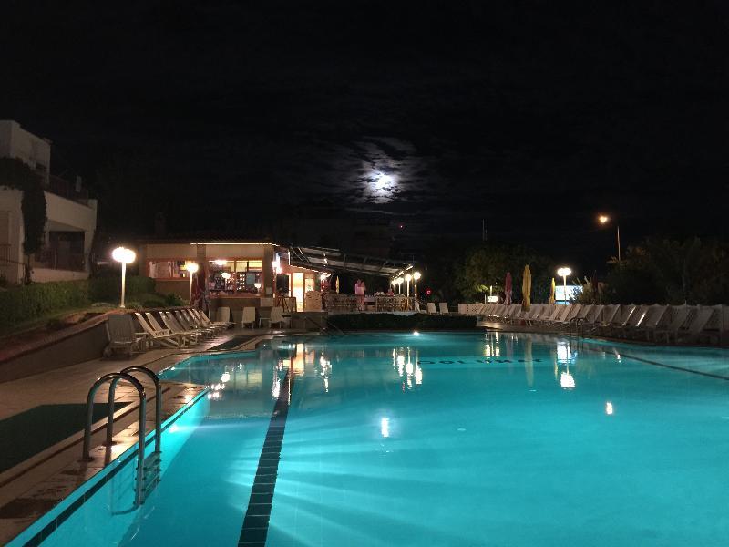 Dolunay Didim
