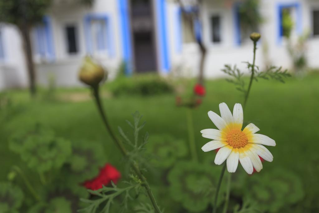 Hotel Akdeniz