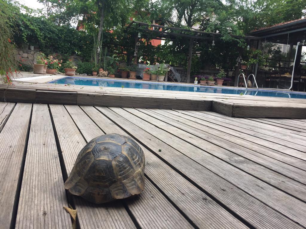 Guest house Beydagi 3*
