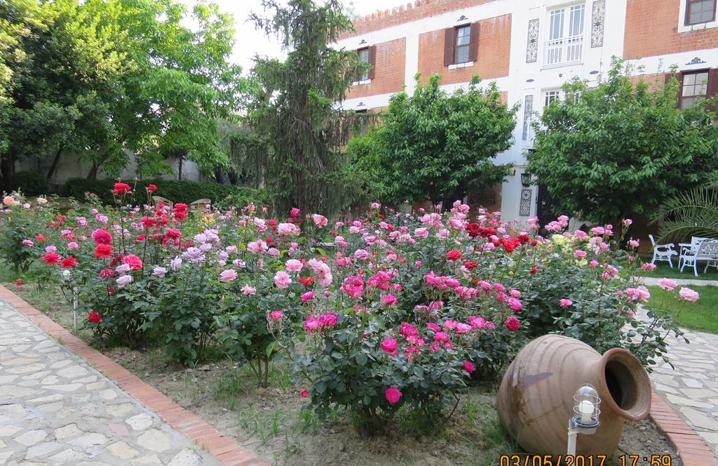 Kalehan 2* Selcuk