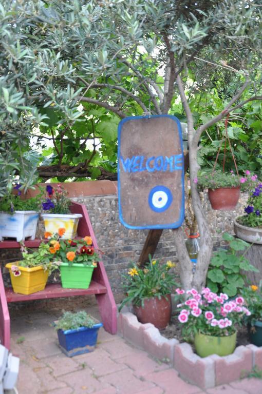 Homestay Shambala