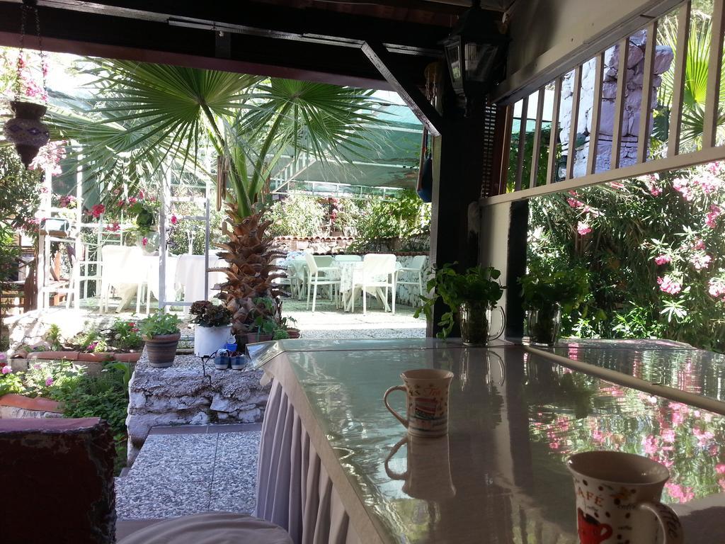 Apartment Kekikhan Olympos