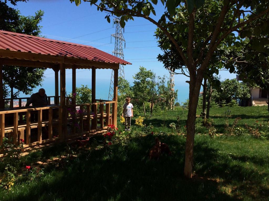 Menekse 2 * Trabzon