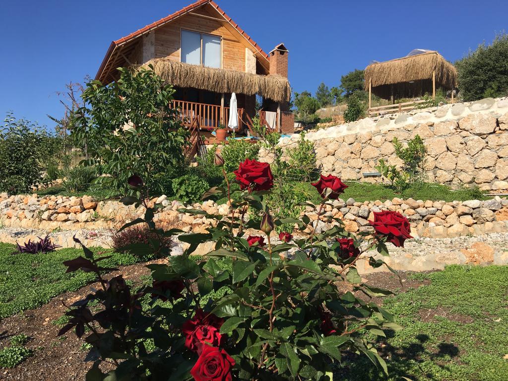 Ambar Evleri Holiday home Kalkan