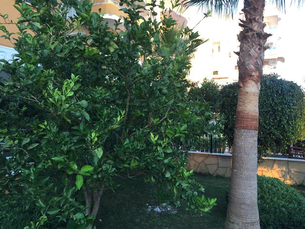 Seaside Apart Cebeci 8 Apartment *