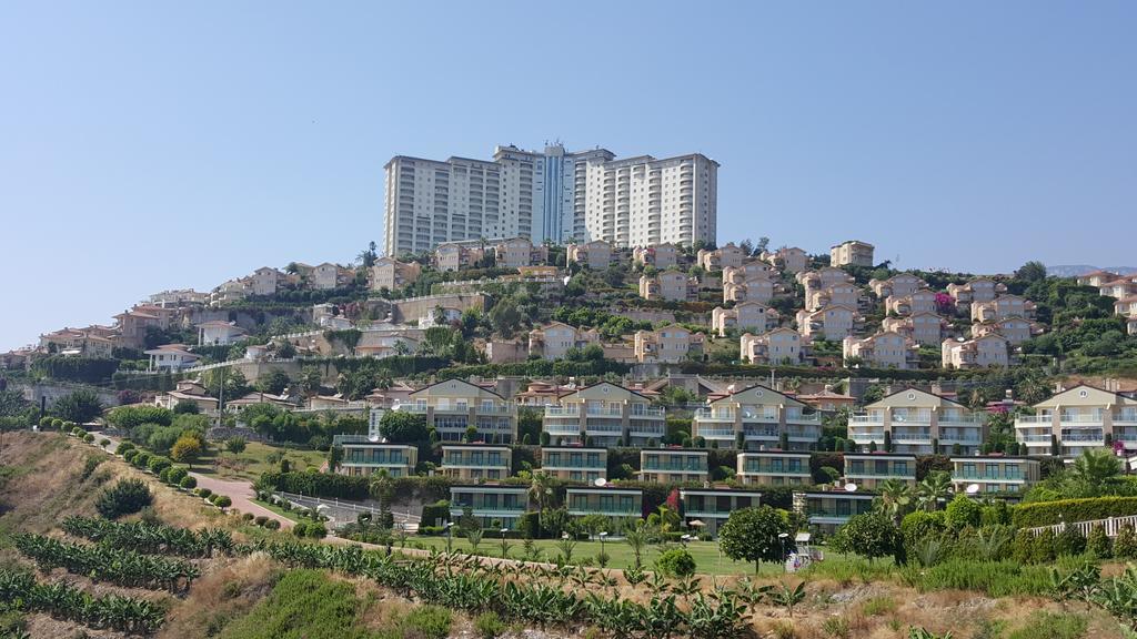 Apartment Gold City And