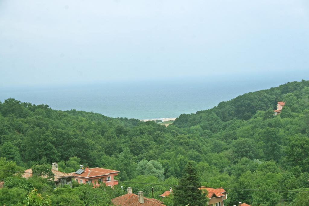 Ormanevi Otantik