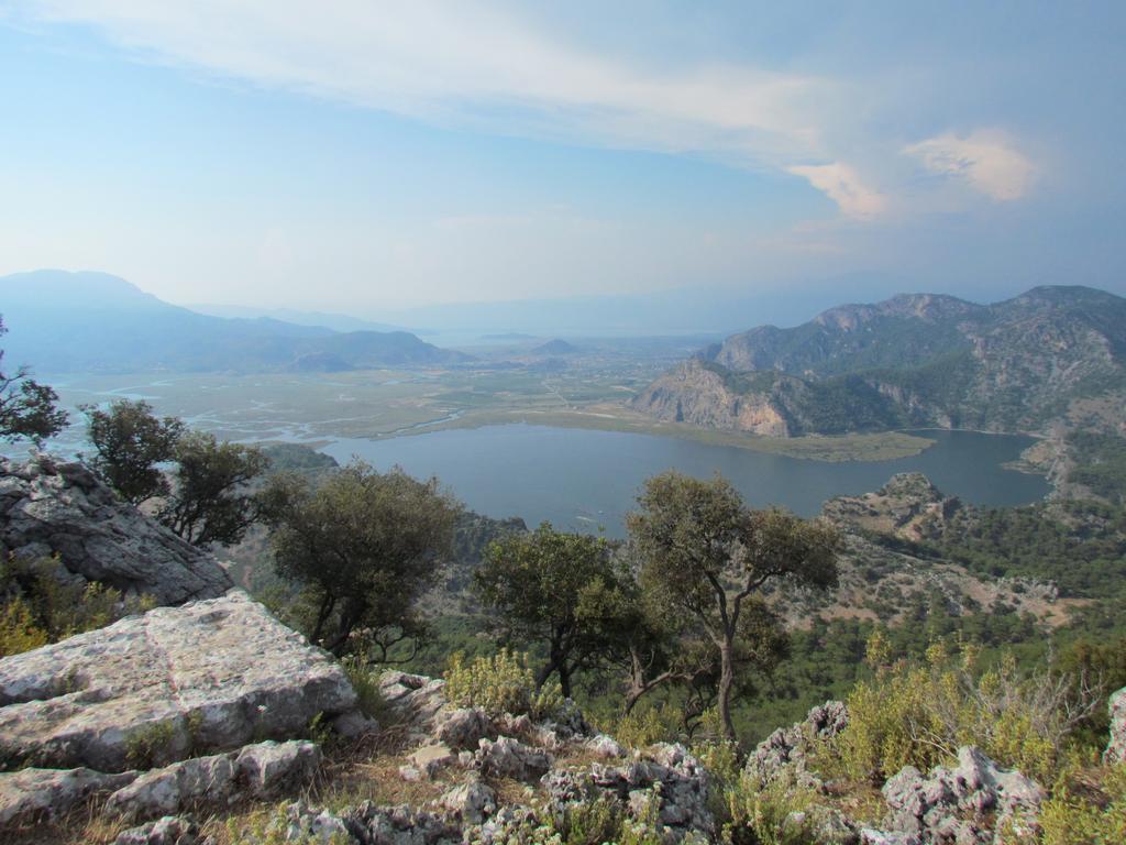 Palmiye 3*