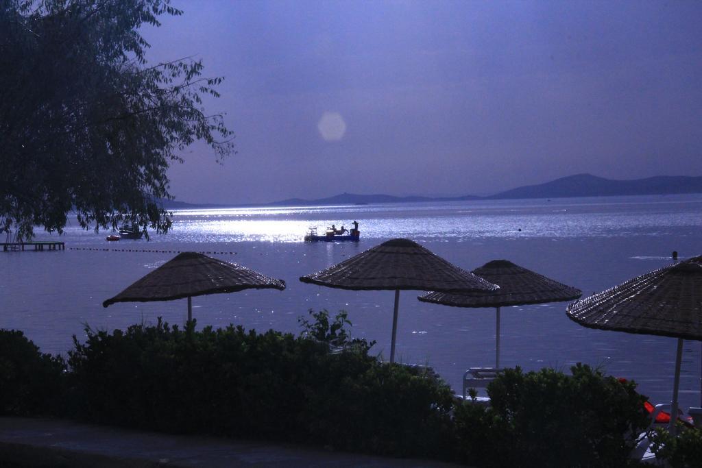 Ege &