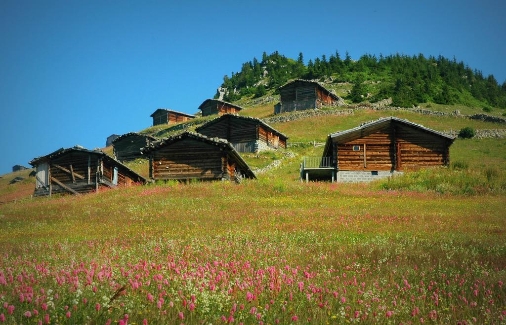 Inanlar Garden & Hotel Uzungol