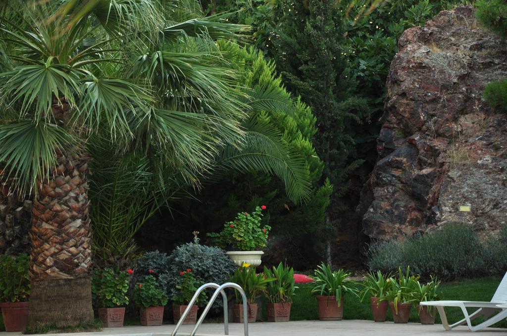 Palm Court Bed & Breakfast Ayvalik