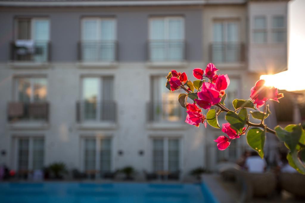 Hotel Alalucca- Adult Only Alacati