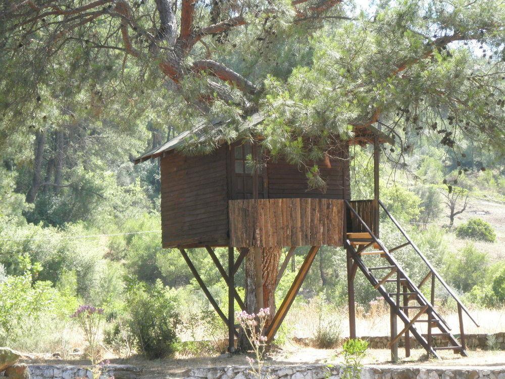 Olympos Woods - Adults Only 3*
