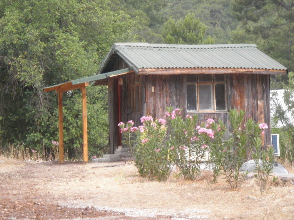 Olympos Woods - Adults Only Hotel Adrasan