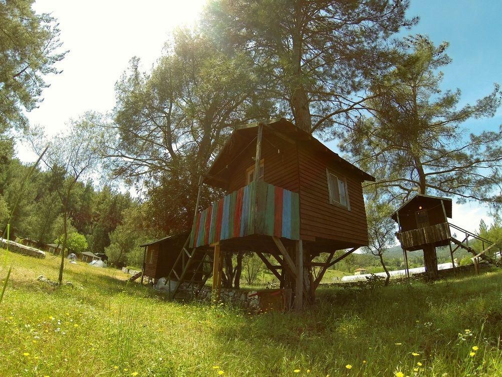 Olympos Woods - Adults Only 3* Adrasan