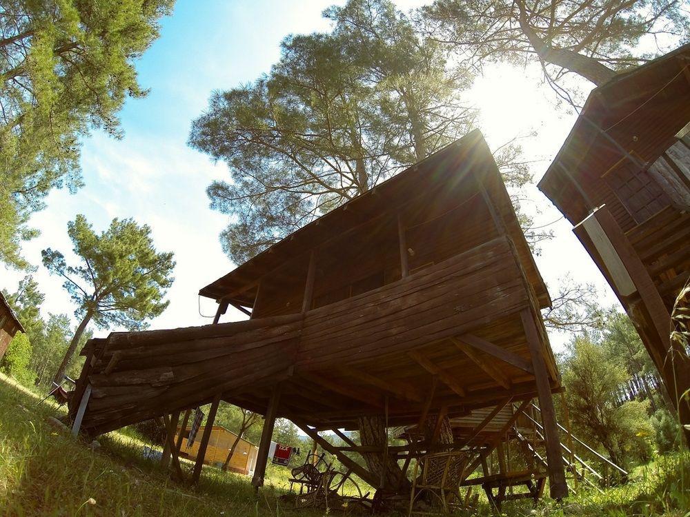 Olympos Woods - Adults Only 3* Adrasan