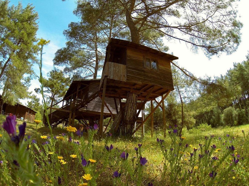 Hotel Olympos Woods - Adults Only Adrasan