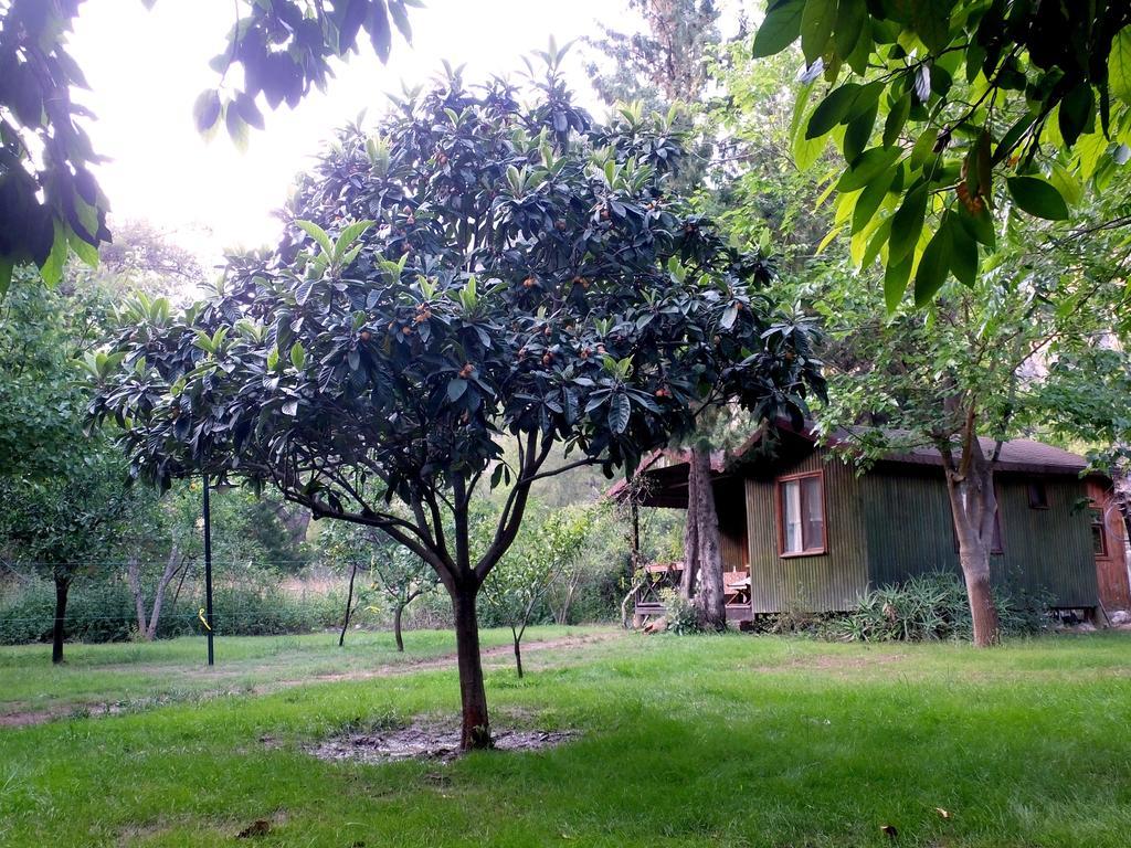 Holiday park Kibala