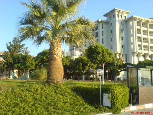 Medis Cesme