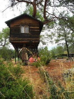 Olympos Woods - Adults Only 3* Adrasan